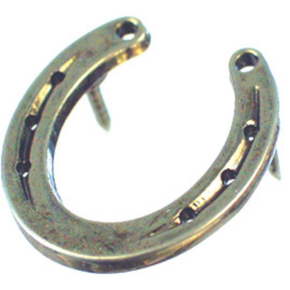Horse Shoe Pin