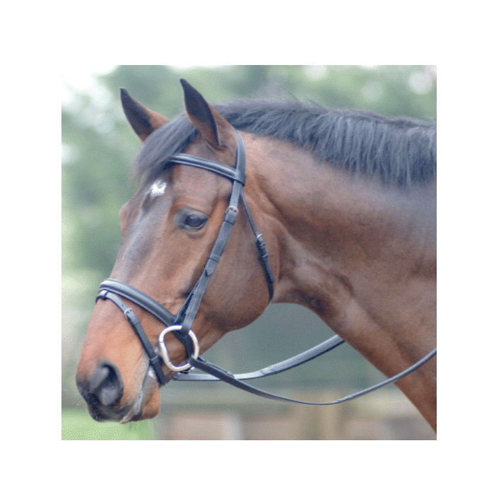 Cottage Craft Oxford Bridle - Connemara Horse & Country