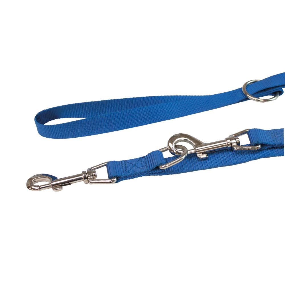 Nylon dog leash