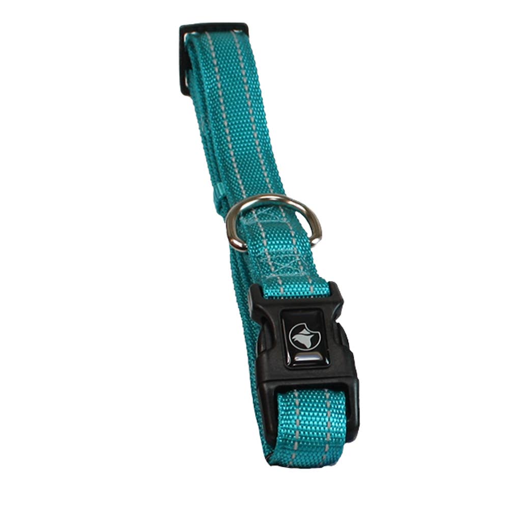 Soft Reflective Nylon Collar - 20x350cm 550mm, Turquoise