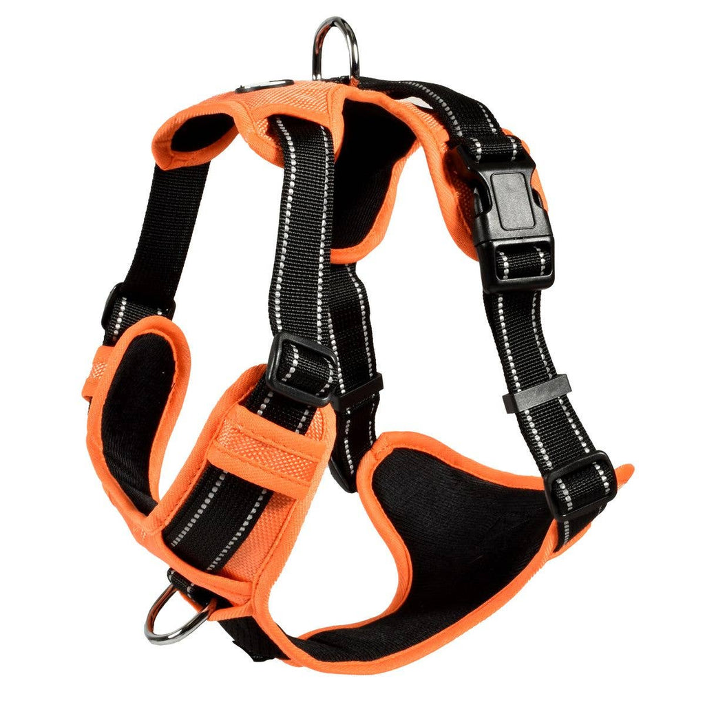 Dog Harness - Rando Walk Color - Bobby